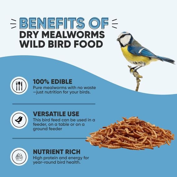 Happy Beaks - Meal Worms (Bag)